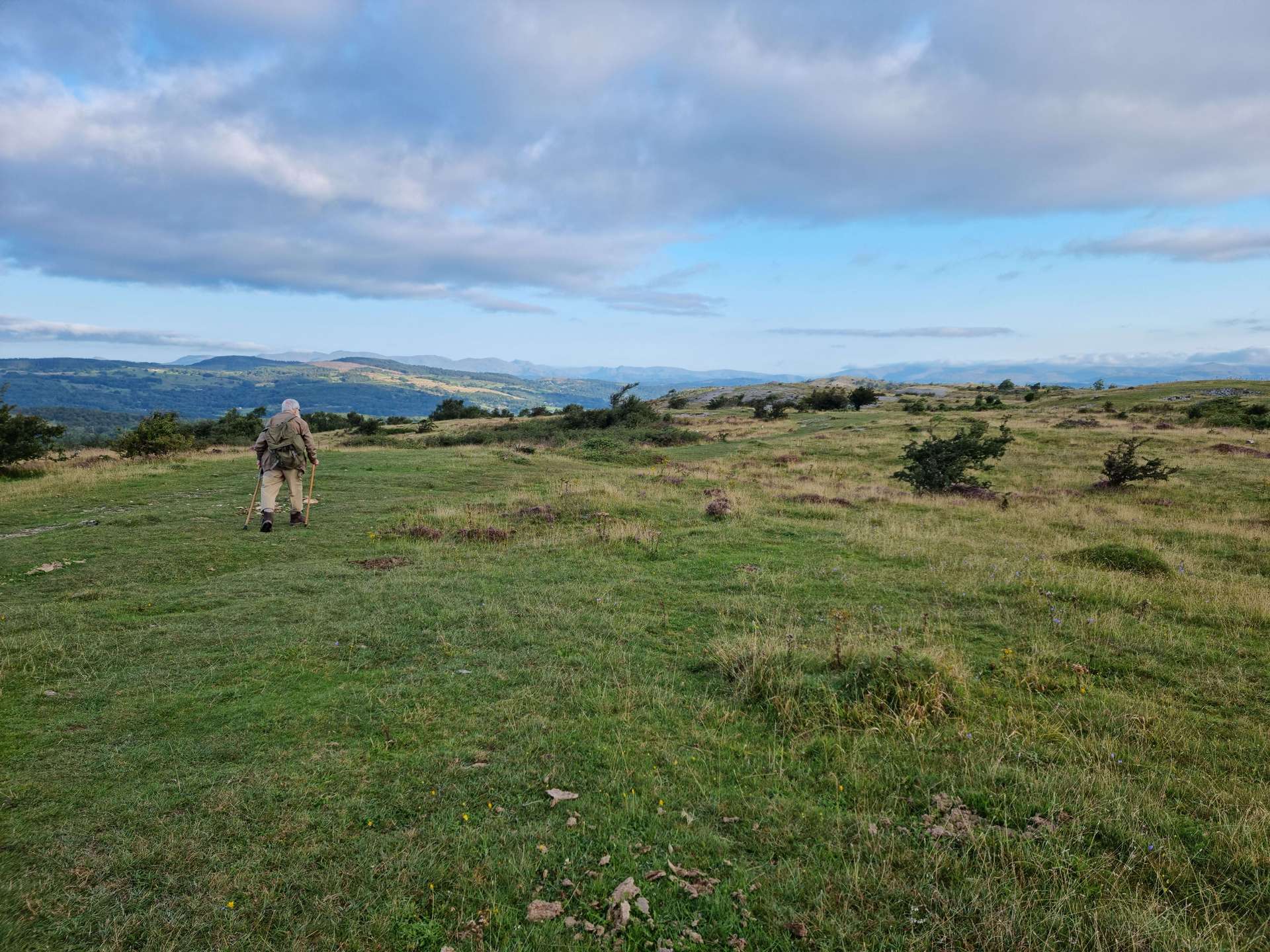 Limestone Plateau of Whitbarrow Scar