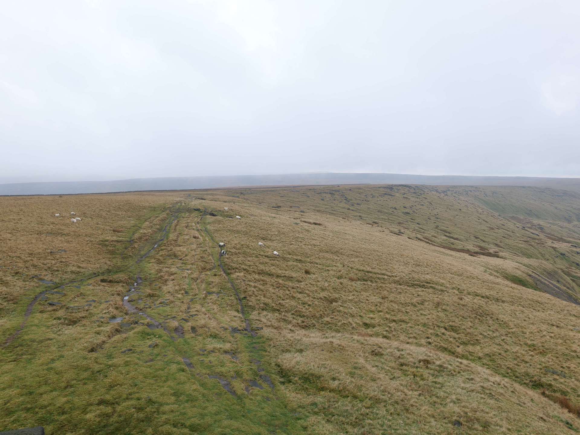 Higher Moor