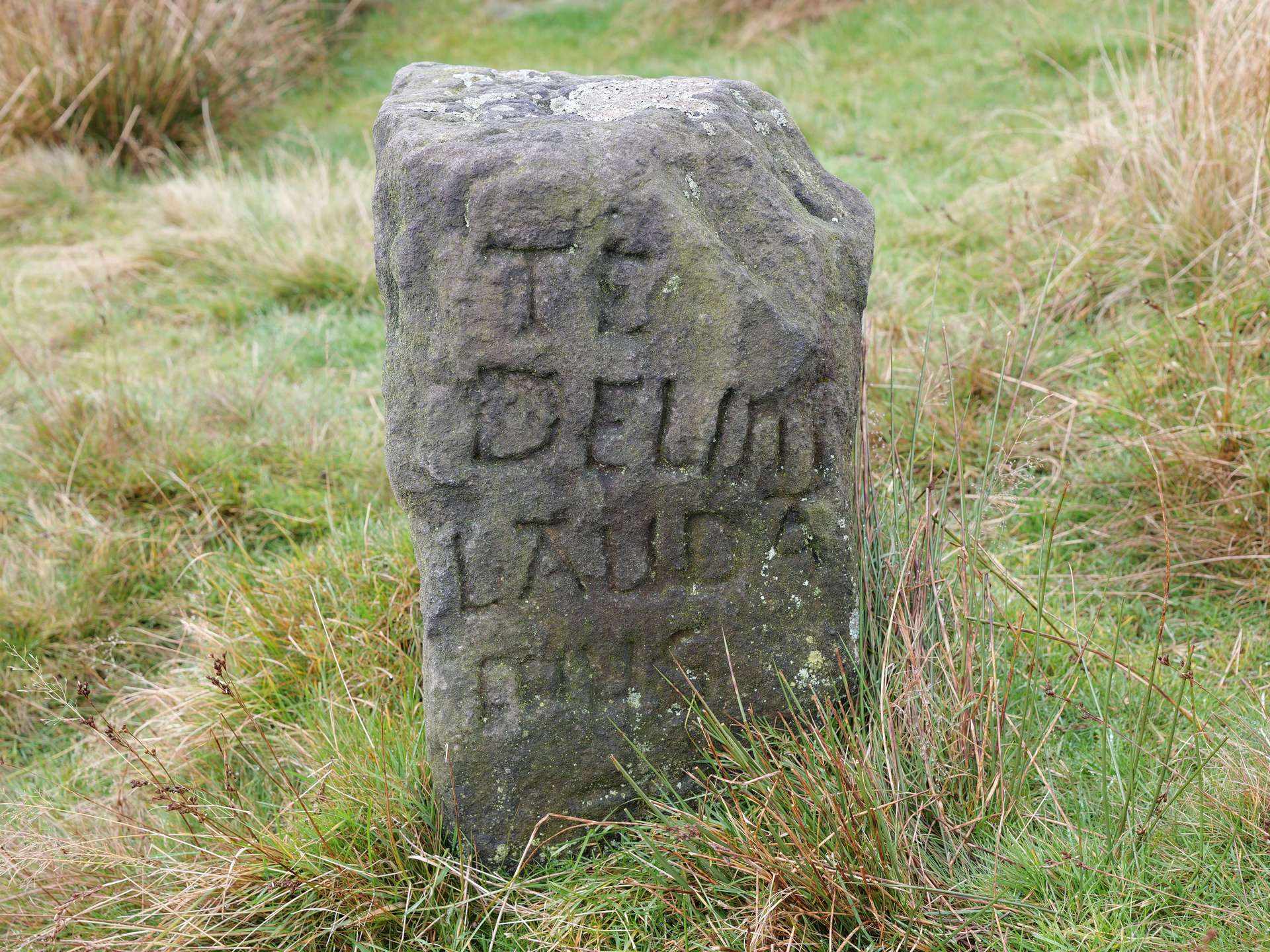 Te Deum Stone (Side View)